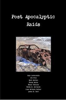 POST APOCALYPTIC RAIDS